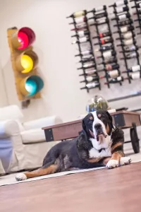 The McNemar House West Virginia The McNemar House West Virginia